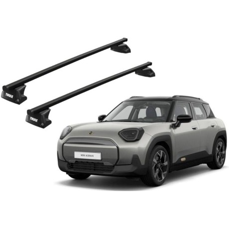 Barras Thule MINI Aceman...