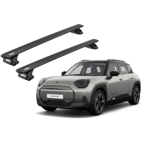 Barras Thule MINI Aceman...